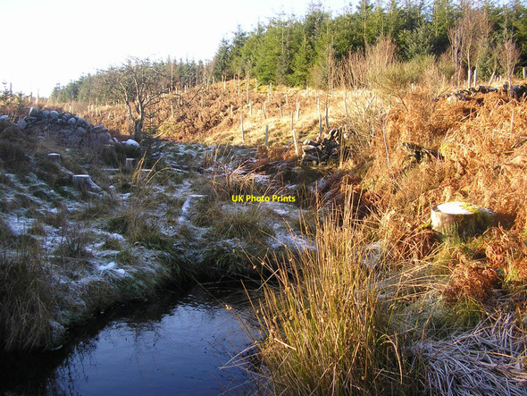Photo 6"x4" Burn on Speddoch Hill Speddoch Hill c2008