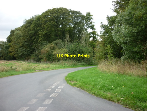 Photo 6"x4" The Hill (road) into Worlaby Worlaby\/TA0113 c2010