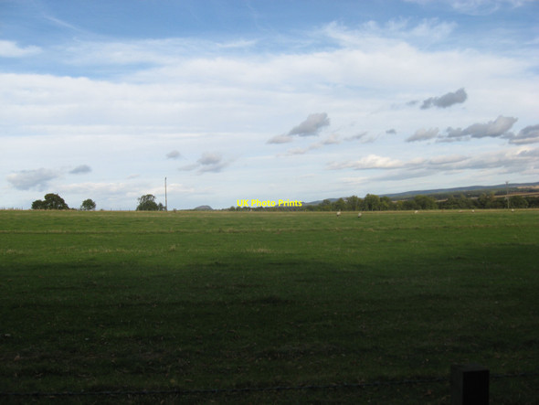 Photo 6"x4" Sheep grazing meadow to the south of Jerusalem Farm Samuelston c2010