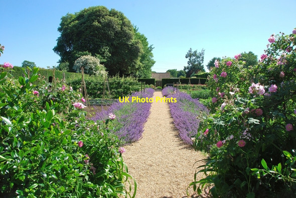 Photo 6"x4" Tintinhull House Gardens Tintinhull c2010
