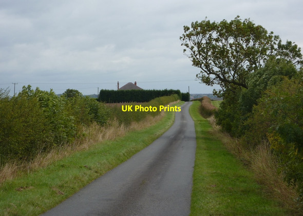 Photo 6"x4" View east along Wood Lane Beckingham\/SK7790 c2010
