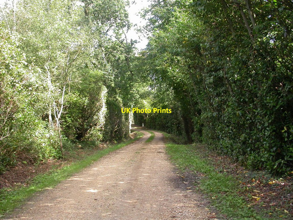 Photo 6"x4" Beckley, Holm Hill Lane Beckley\/SZ2296 c2010