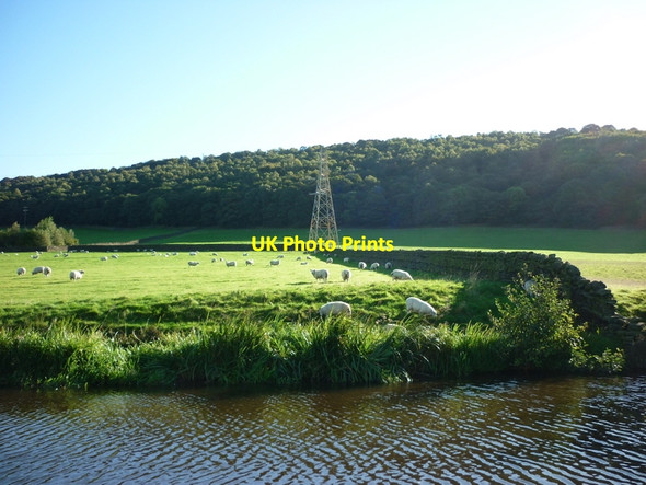 Photo 6"x4" Walking along the Leeds to Liverpool Canal #243 Silsden c2010