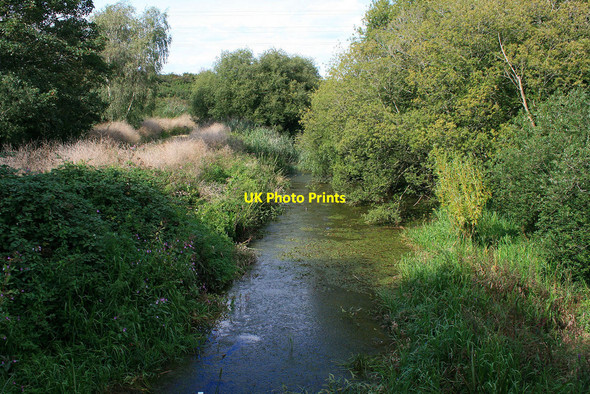 Photo 6"x4" Millhams Mead Nature Reserve Kinson\/SZ0696 c2010