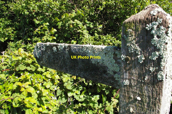 Photo 6"x4" Penare: unhelpful signpost Gorran Haven c2010