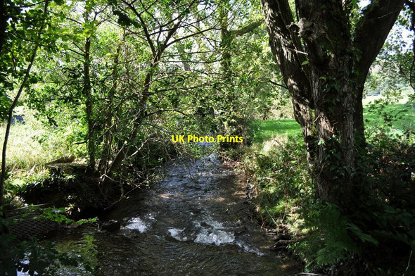 Photo 6"x4" Down stream on the river Caen from the Ford near Stocklands Lane Nethercott\/SS4839 c2010