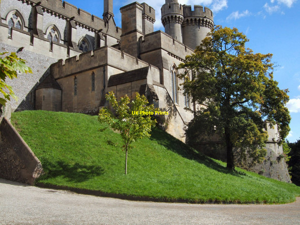 Photo 6"x4" Trees in front of Arundel Castle Arundel c2010