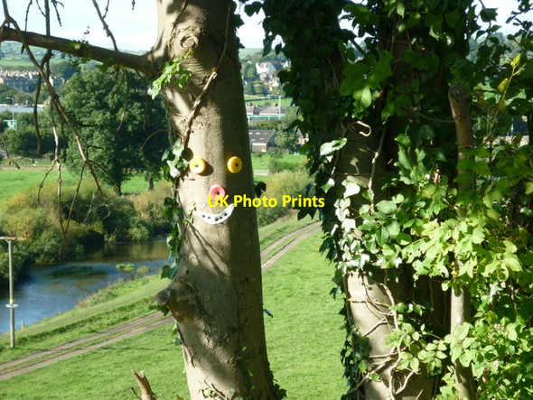 Photo 6"x4" Walking along the Leeds to Liverpool Canal #276 Junction c2010