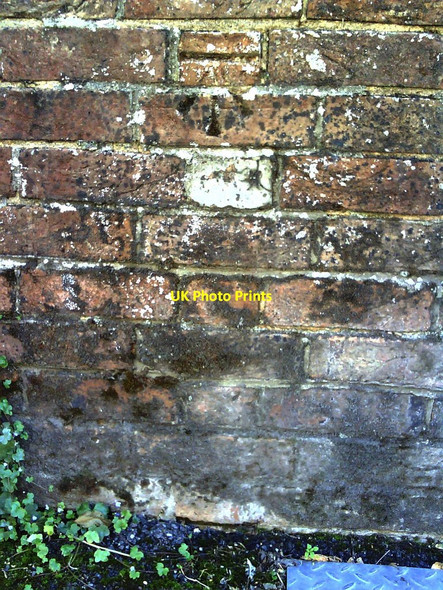 Photo 6"x4" Benchmark on wall of Wollaston Road Dorchester\/SY6890 c2010