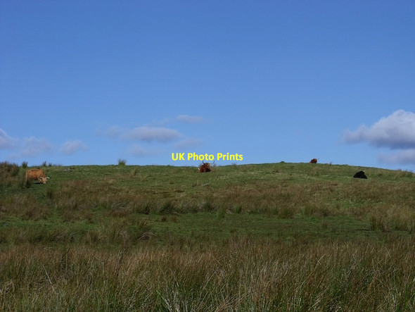 Photo 6"x4" The Bien Esk Fold of Craigengelt Dundaff Hill c2010