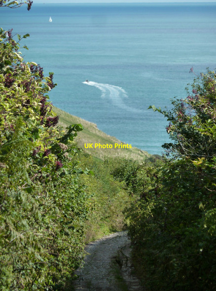 Photo 6"x4" Woodhuish Lane Hillhead\/SX9053 c2010