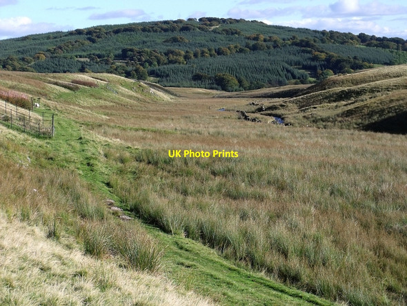 Photo 6"x4" The Earl's Burn valley Craigengelt Hill c2010