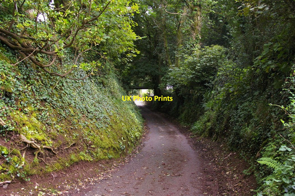 Photo 6"x4" Laugharne: lane by churchyard Glan-y-m\u00f4r\/SN3011 c2010