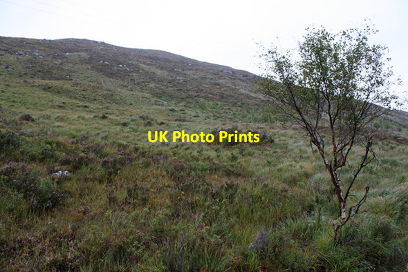 Photo 6"x4" Hillside south of Merkland Lodge Merkland River c2010