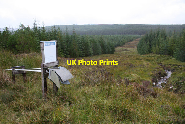 Photo 6"x4" A firebreak in Overscaig Plantation River Fiag c2010