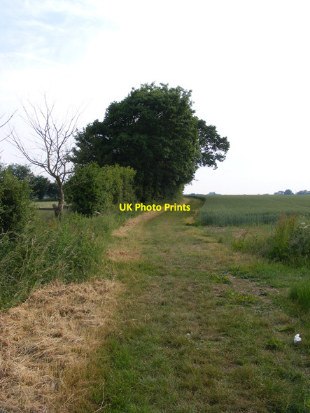 Photo 6"x4" Footpath and field edge Westhall\/TM4181 c2010