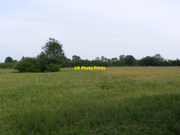 Photo 6"x4" Meadow near Blue Tile Farm Westhall\/TM4181 c2010
