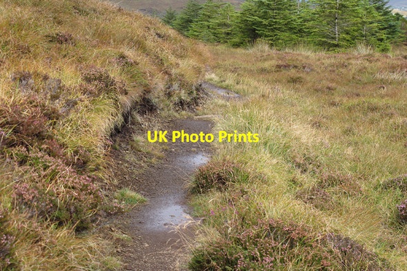 Photo 6"x4" Footpath below Beinn na Moine Greep c2010