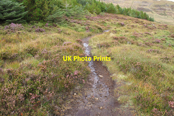 Photo 6"x4" Footpath to Orbost Greep c2010