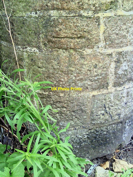 Photo 6"x4" Benchmark on wall at junction of Victoria Grove and North Street Bridport c2010