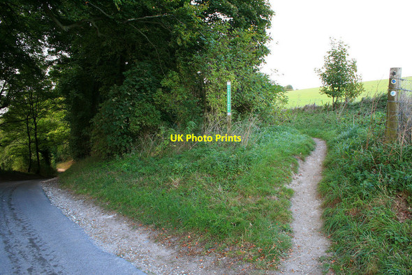 Photo 6"x4" Road and path Sydmonton c2010