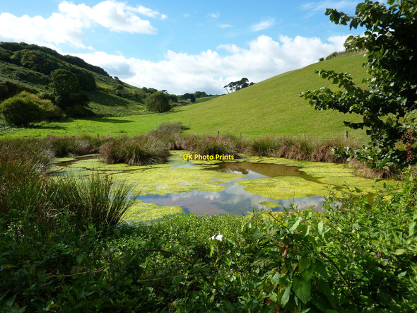 Photo 6"x4" Pond near Mansands beach Hillhead\/SX9053 c2010