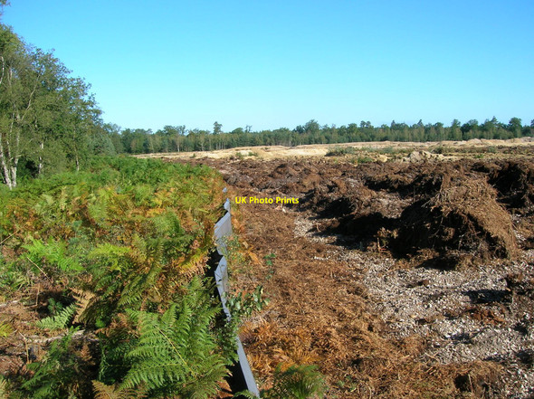 Photo 6"x4" Cleared conifer plantation at Fifty Acre Piece Mortimer West End c2010