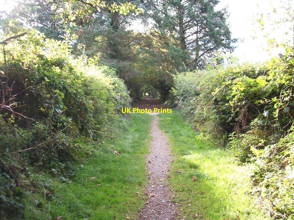 Photo 6"x4" Footpath south to the West End Pwllheli c2010
