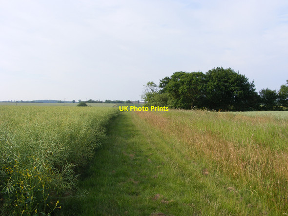 Photo 6"x4" Footpath towards Redisham Redisham c2010