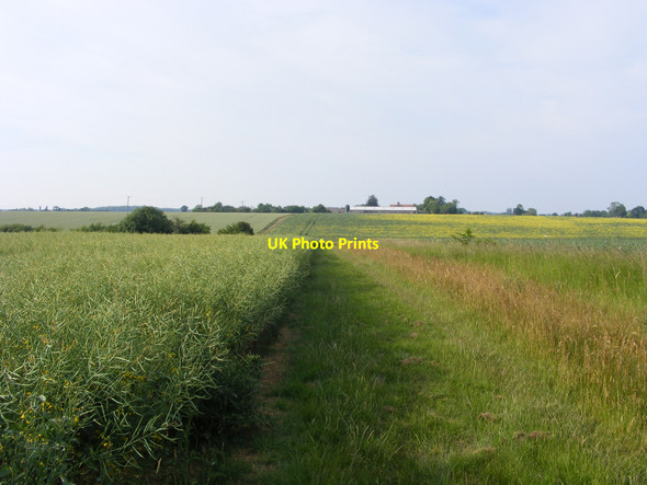Photo 6"x4" Footpath descending into a small valley near Shingle Hall Redisham c2010