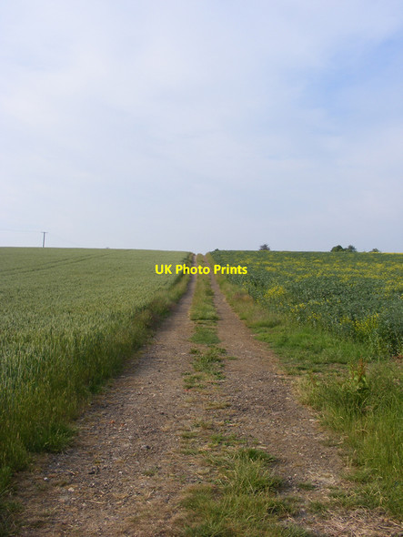 Photo 6"x4" Farm track towards Shingle Hall Redisham c2010