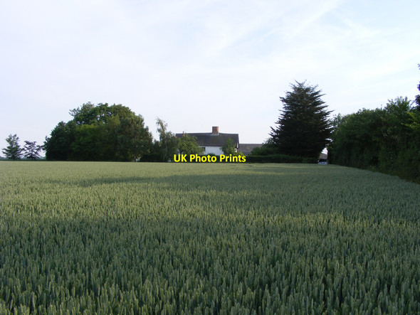 Photo 6"x4" Shingle Hall from across the fields Redisham c2010