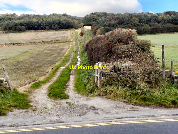 Photo 6"x4" Farm Track, Parbold Hill High Moor\/SD5011 c2010