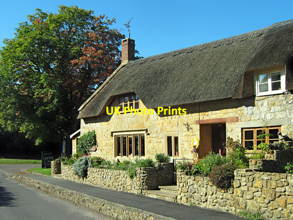 Photo 6"x4" Cottages in Dowlish Wake Ilminster c2010