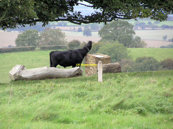 Photo 6"x4" Topograph in Dyrham Deer Park Hinton\/ST7376 c2010