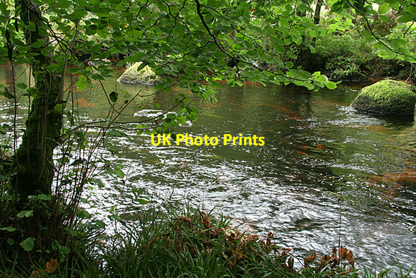Photo 6"x4" Chagford: the river Teign Easton\/SX7188 c2010