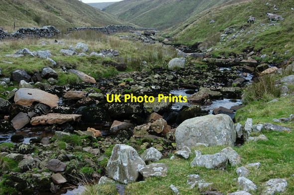 Photo 6"x4" Ease Gill Ease Gill\/SD6881 c2010