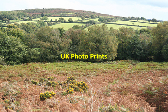 Photo 6"x4" Moretonhampstead: towards Butterdon Down Moretonhampstead c2010