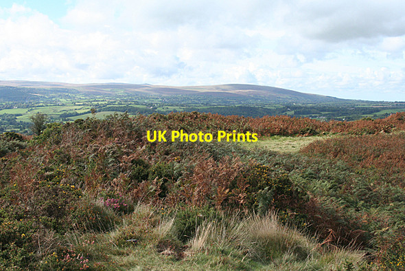 Photo 6"x4" Moretonhampstead: Cranbrook Castle Drewsteignton c2010