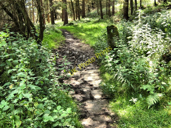 Photo 6"x4" Stone Gatepost Fernilee c2009