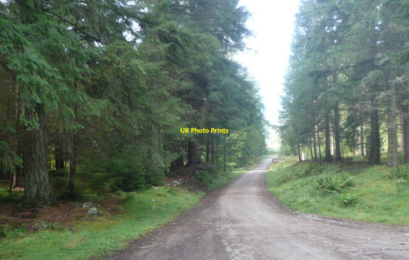 Photo 6"x4" Old Military Road Inver\/NO0142 c2010