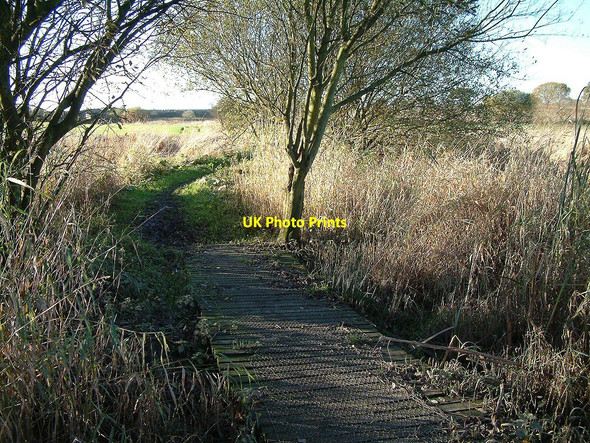 Photo 6"x4" Boardwalk across marshy area Abram c2005