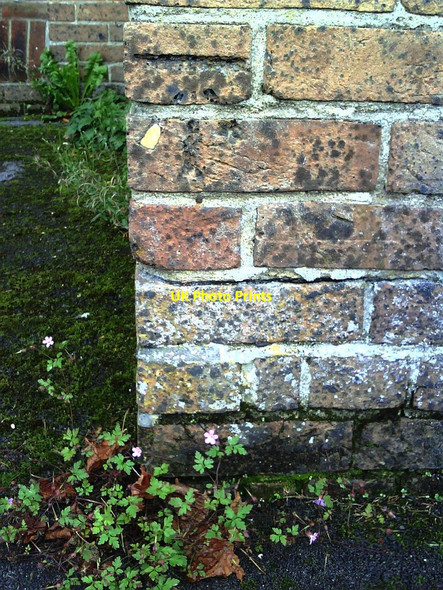 Photo 6"x4" Benchmark on Dorchester Baptist Church aka Dorford Centre Dorchester\/SY6890 c2010