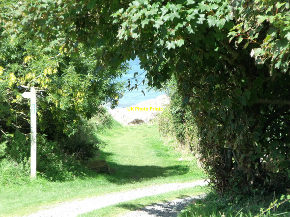 Photo 6"x4" Footpath leading to sea at St. Bride's, Pembrokeshire St Brides\/SM7910 c2010