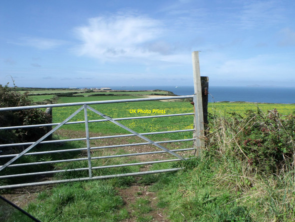 Photo 6"x4" Gate giving access to pasture west of Marloes Marloes c2010