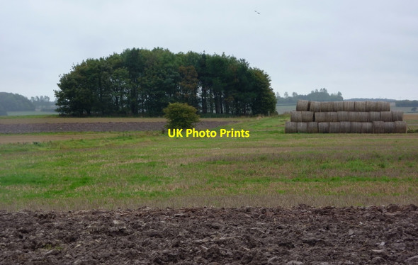 Photo 6"x4" Large fields and small copse Laxton\/SK7267 c2010