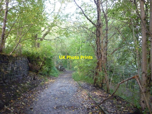 Photo 6"x4" Walking the Woodhouse Ridge in Leeds Leeds\/SE3034 c2010