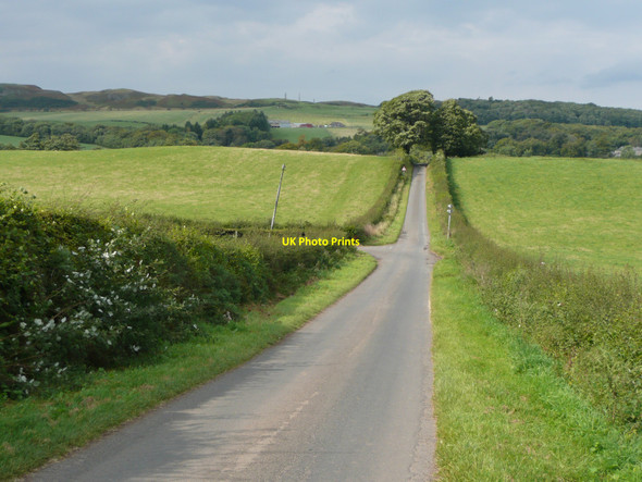Photo 6"x4" Lane near Knockdon Culroy\/NS3114 c2010