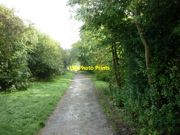 Photo 6"x4" The Dales Way Link Adel c2010