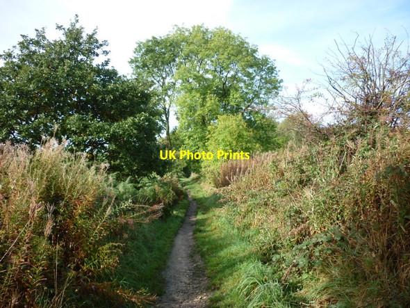 Photo 6"x4" The path to Adel Adel c2010